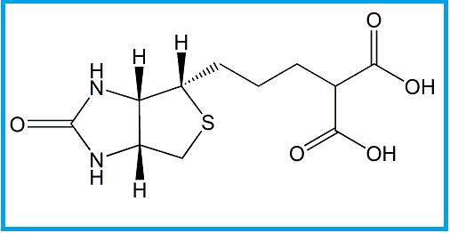 BIOTIN EP IMPURITY B  